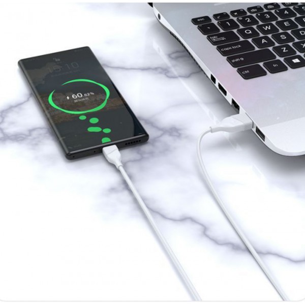 Cable USB a Tipo C 2.4A 3m CB-273-C